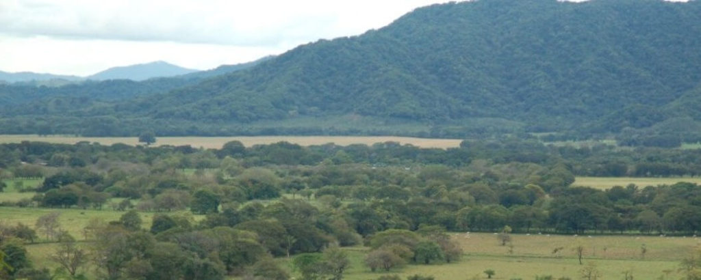 Guanacaste. Photo by Héctor Vides / Social Media Costa Rica